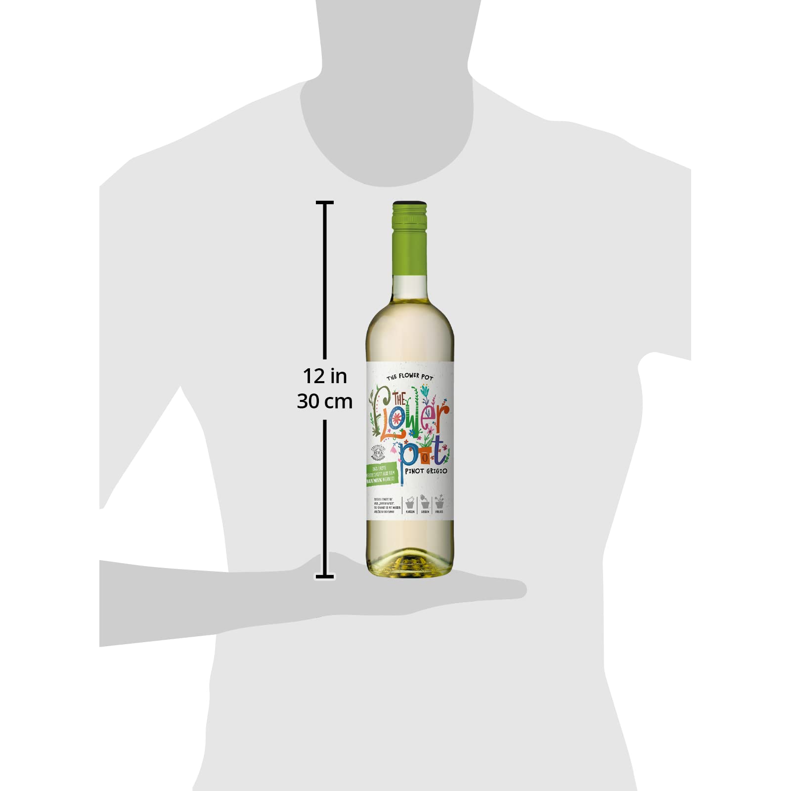 langguth-the-flower-pot-pinot-grigio-wei-wein-trocken-0-75l-bio image 3