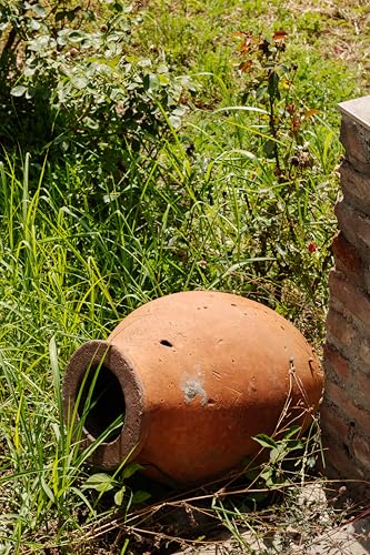 langguth-8k-ancient-red-rotwein-halbtrocken-0-75-l image 6